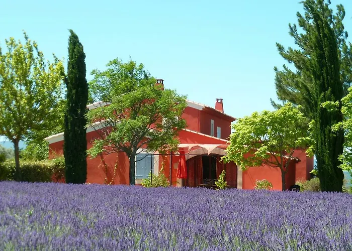 Luberon & Lavandes